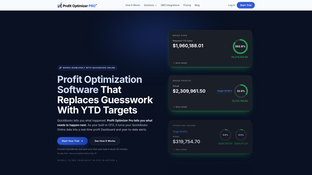 Profit Optimizer Pro website homepage built by AXF Creative